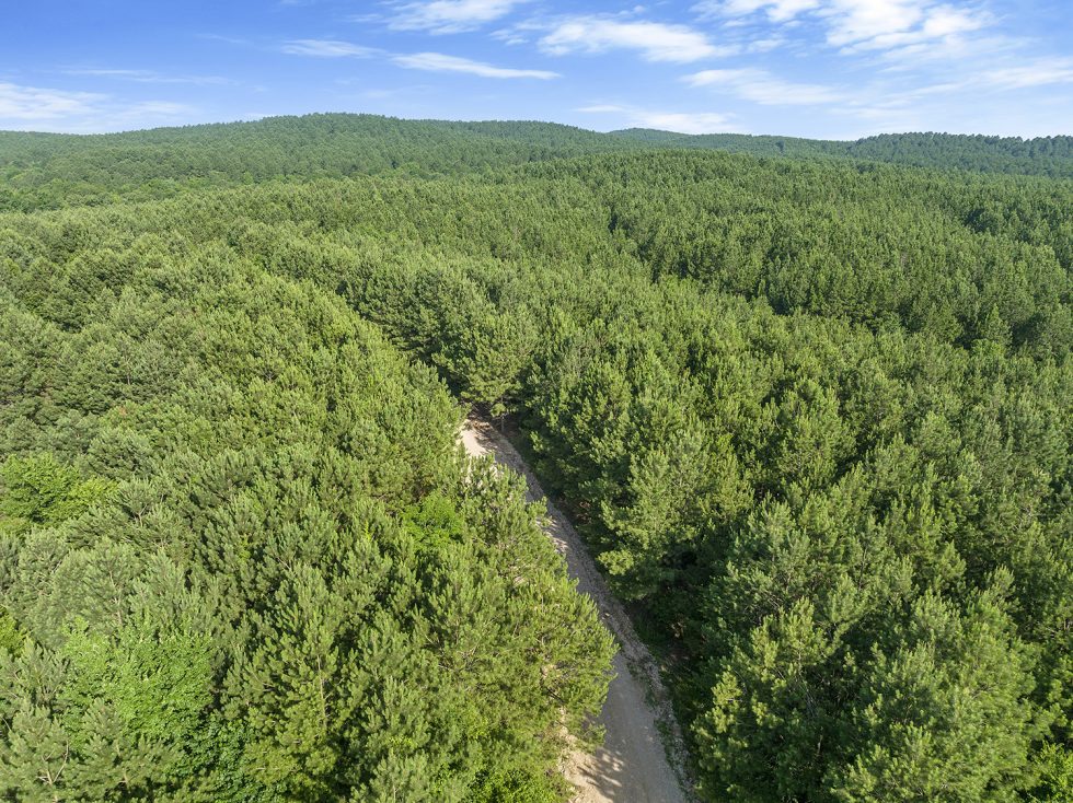 Gallery Paradise Valley Land For Sale Broken Bow Oklahoma