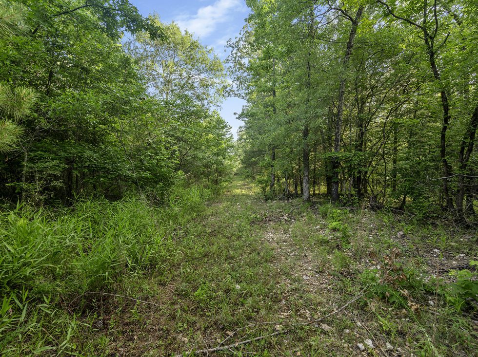 Gallery Paradise Valley Land For Sale Broken Bow Oklahoma